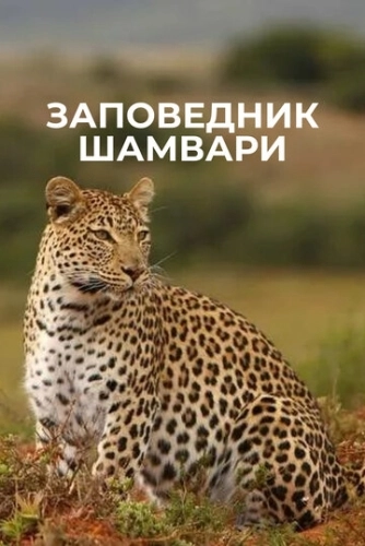 Заповедник Шамвари () смотреть онлайн